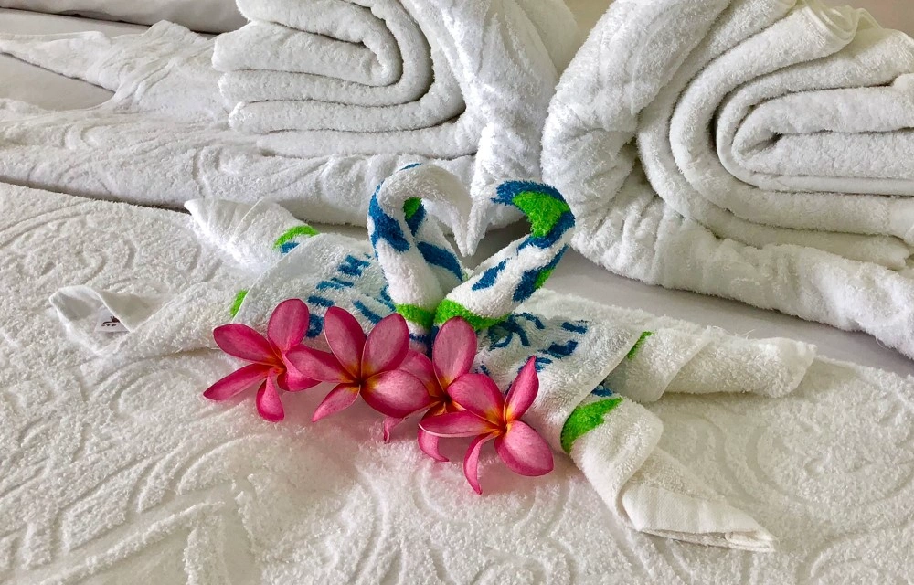 Embrace Eco-Friendly Travel at Casa de Moalboal